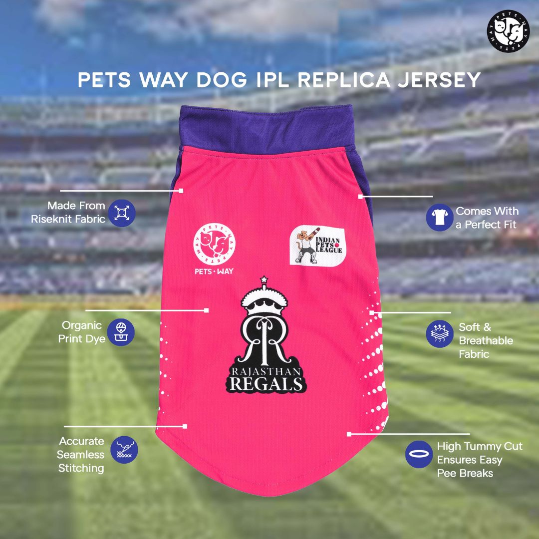 Rajasthan Regals - RR IPL Dog Jersey