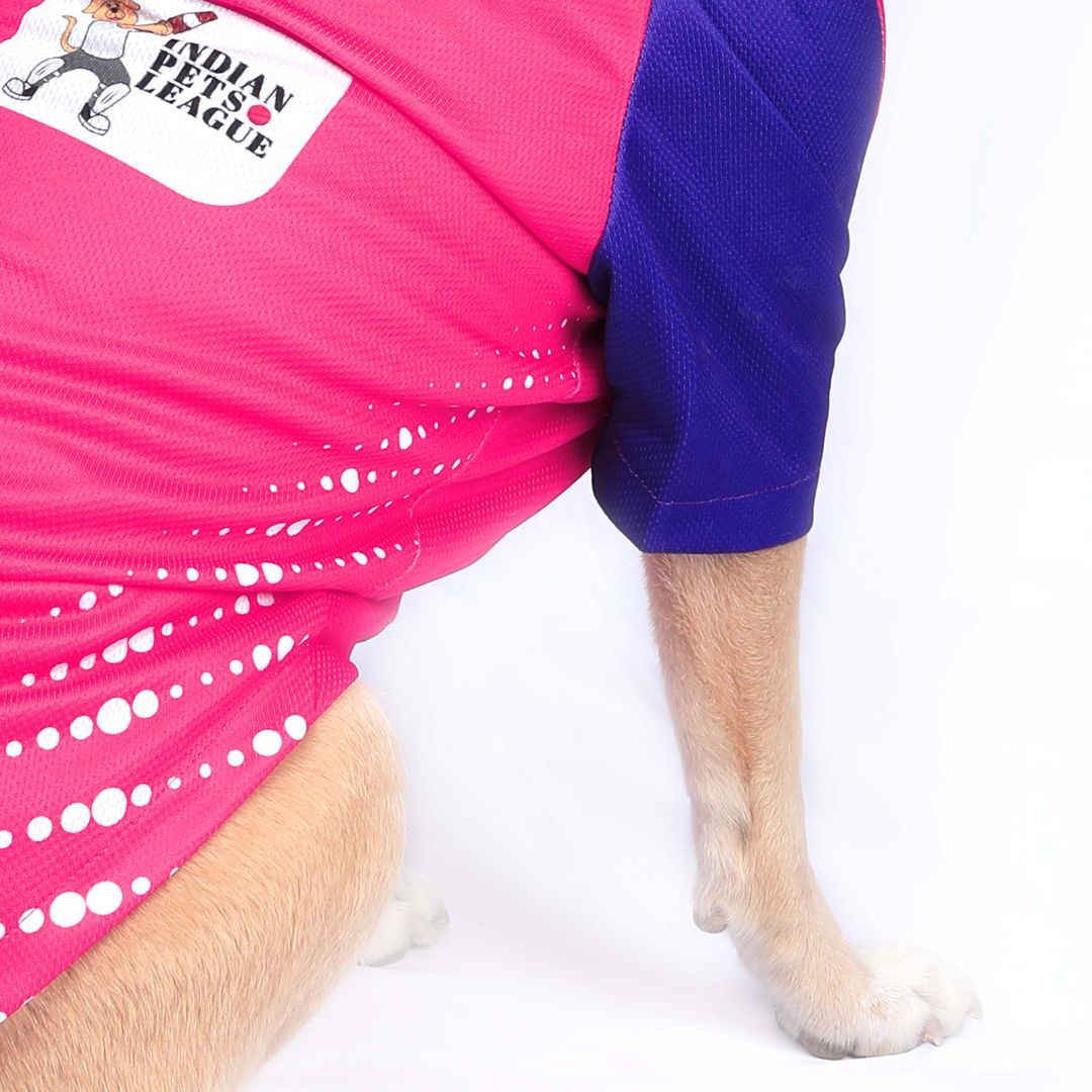 Rajasthan Regals - RR IPL Dog Jersey