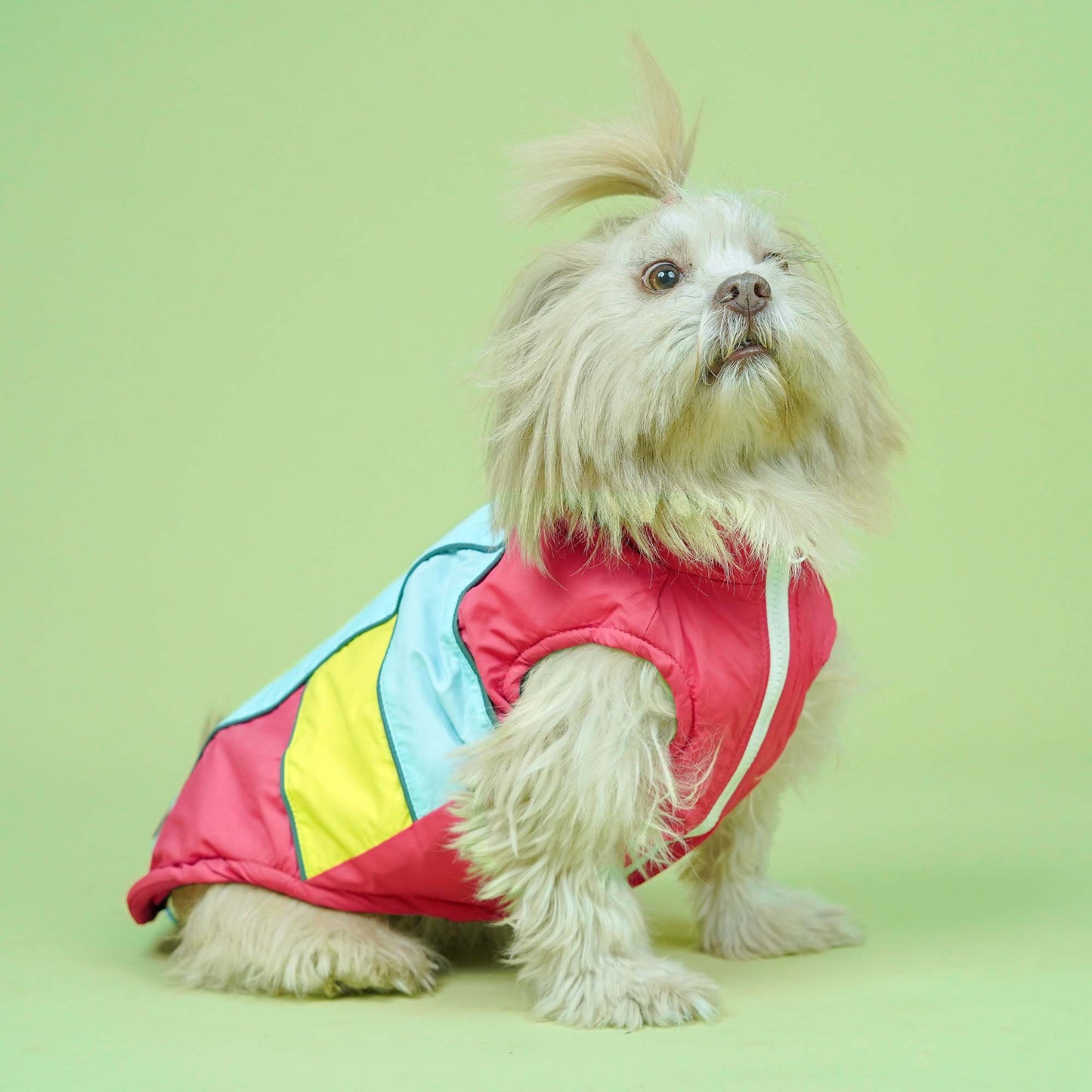 Winterberry - Coral Dog Jacket