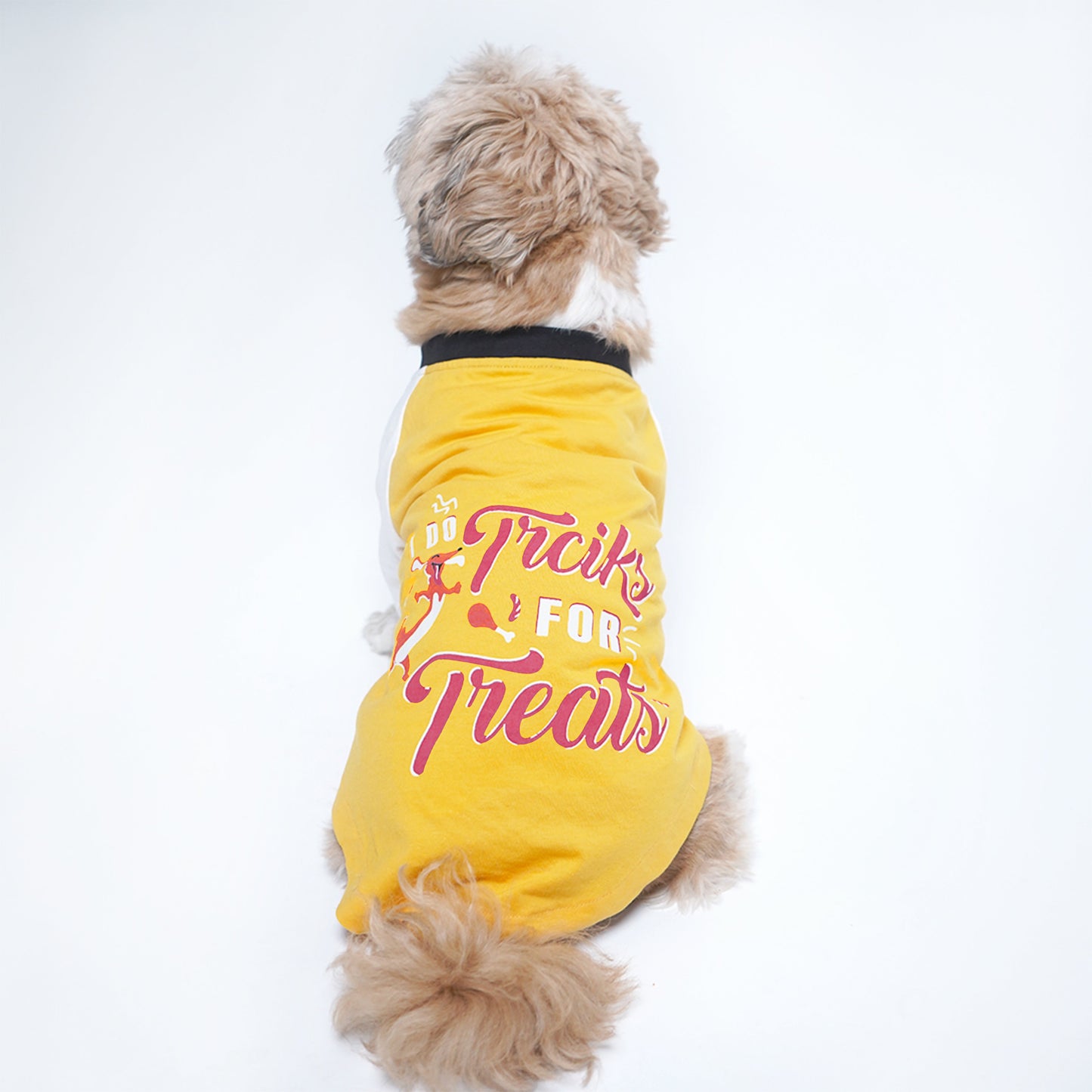 Amber Dog T-Shirt