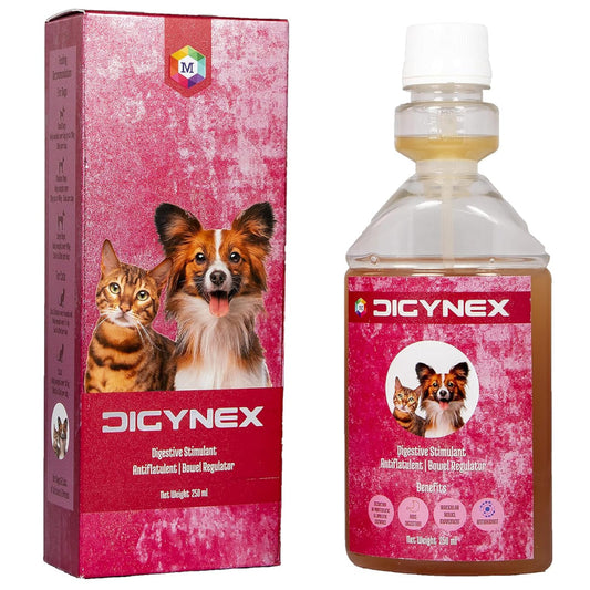 Medfly Healthcare DigyNex Syrup for Dogs and Cats
