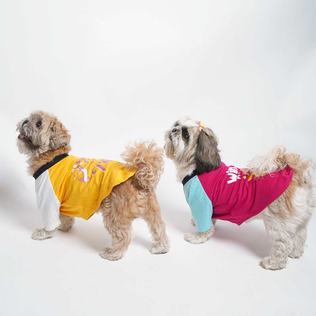 Amber Dog T-Shirt