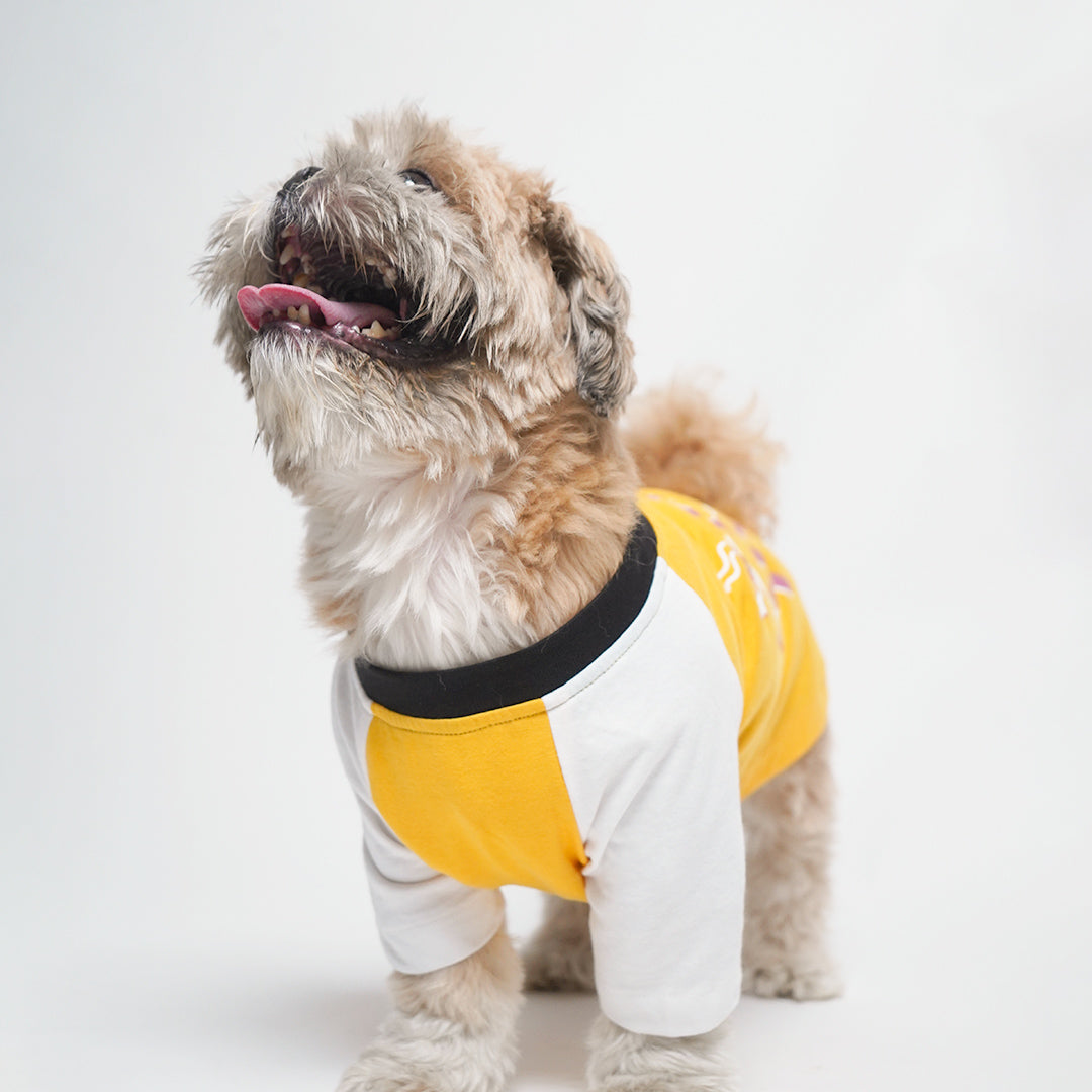 Amber Dog T-Shirt