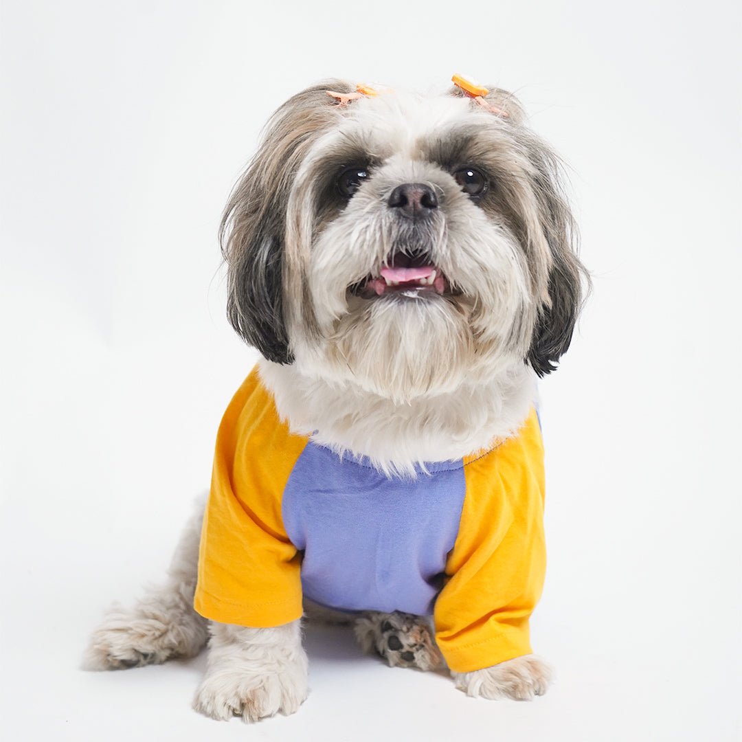 Dust Blue Dog T-Shirt