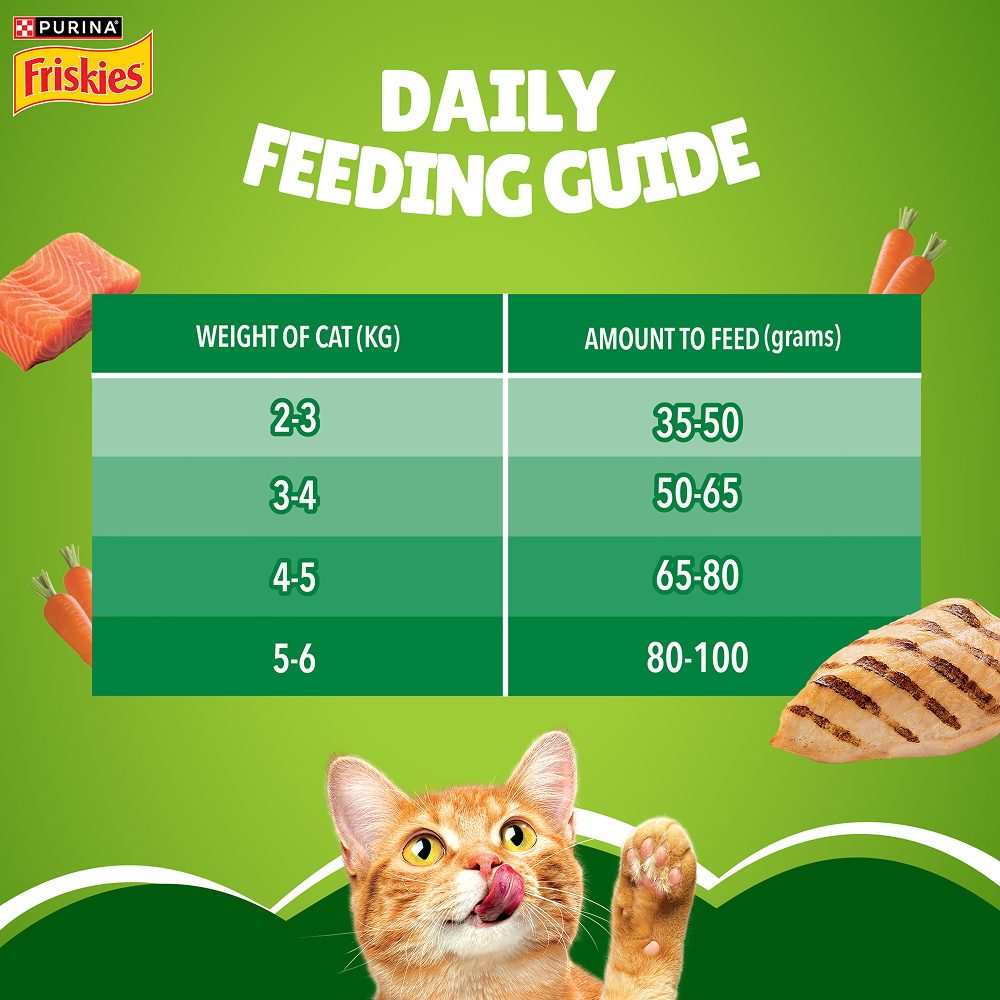 Friskies Indoor Delights Adult Cat Dry Food