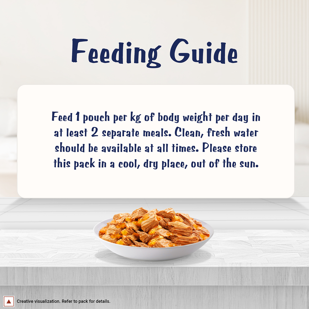 Purina Felix with Salmon in Jelly Adult Complete and Balanced Cat Wet Food