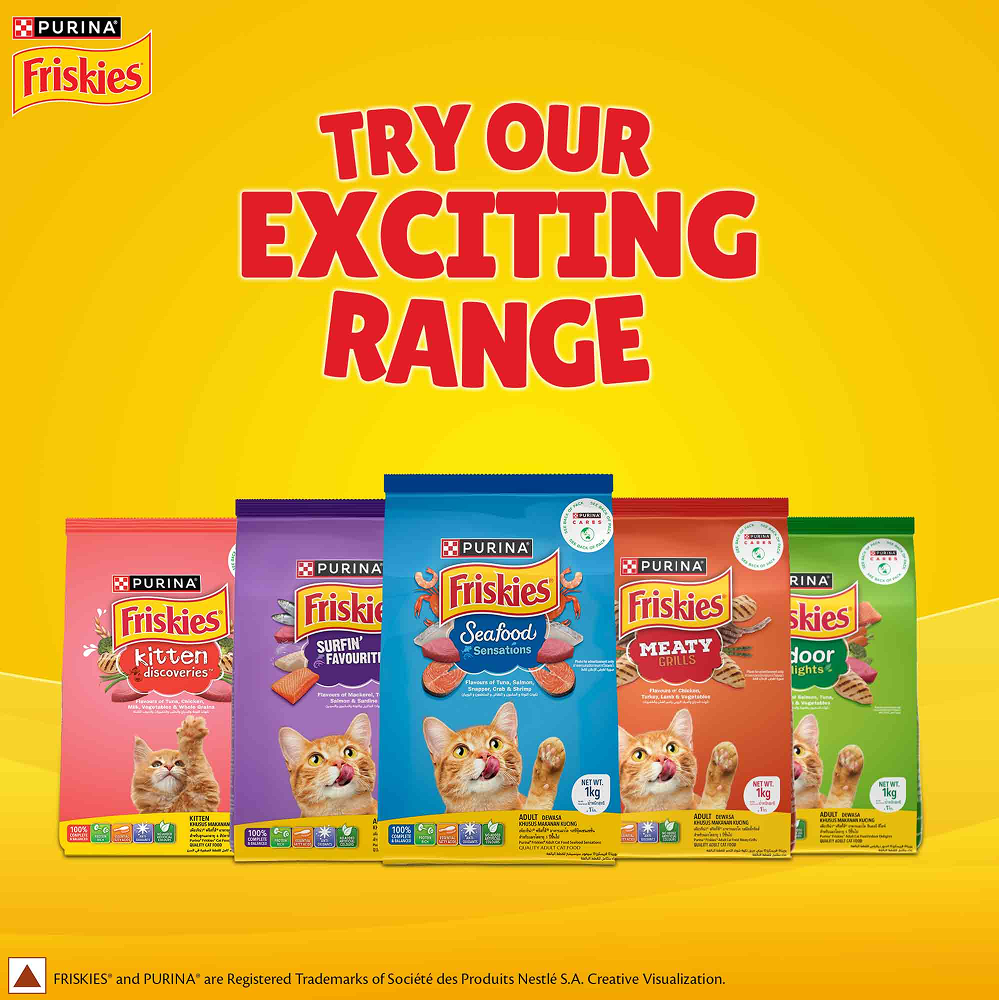 Purina Friskies Kitten Cat Dry Food