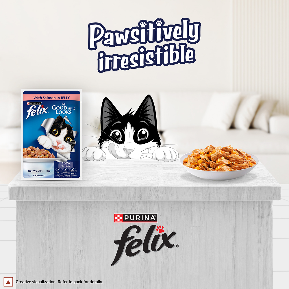 Purina Felix with Salmon in Jelly Adult Complete and Balanced Cat Wet Food