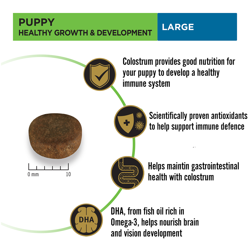 Pro Plan Chicken Large Breed Puppy Dog Dry Food (New Improved Formula)