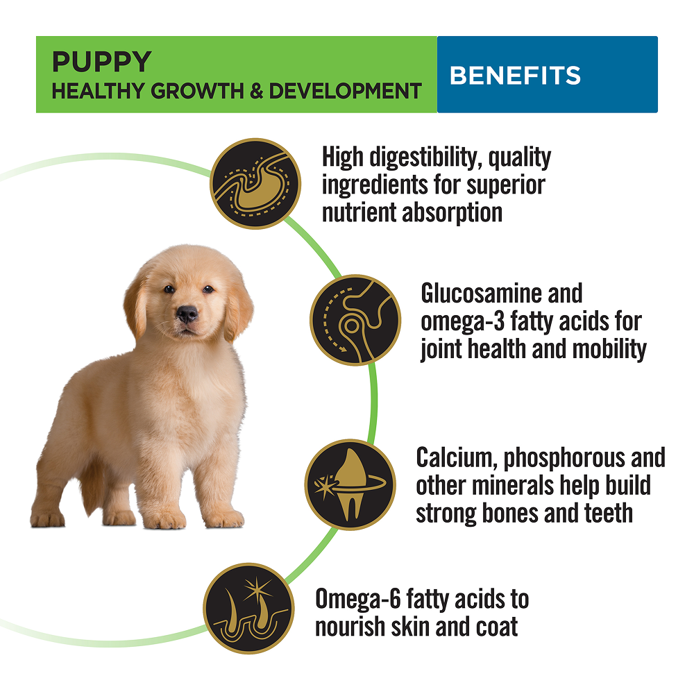 Pro Plan Chicken Large Breed Puppy Dog Dry Food (New Improved Formula)