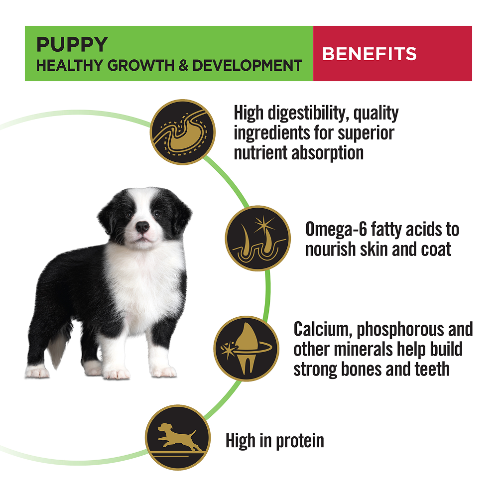 Purina Pro Plan Chicken Medium Breed Puppy Dog Dry Food (New Improved Formula)