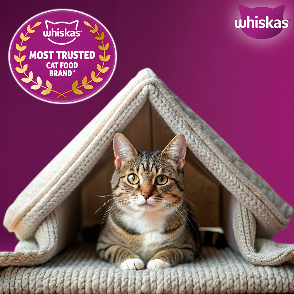 Whiskas Mackerel Flavour Dry Food for Mother and Baby Cat