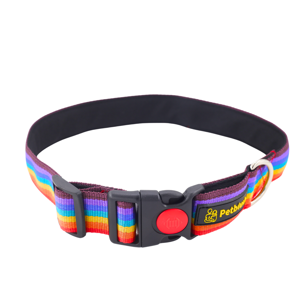 Petblush Rainbow Padded Collar For Dogs