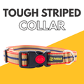 Petblush Tough Striped Collars For Dogs