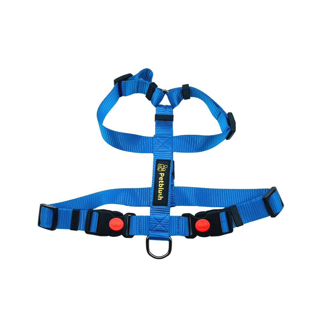 Petblush H Harness with Lock Buckle For Dogs