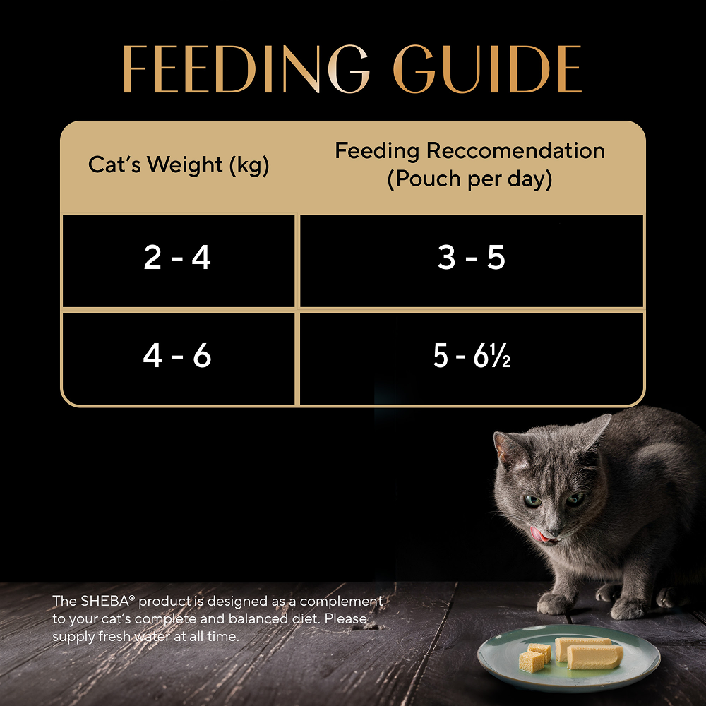 Sheba Katsuo Pate Rich Premium Adult Fine Cat Wet Food
