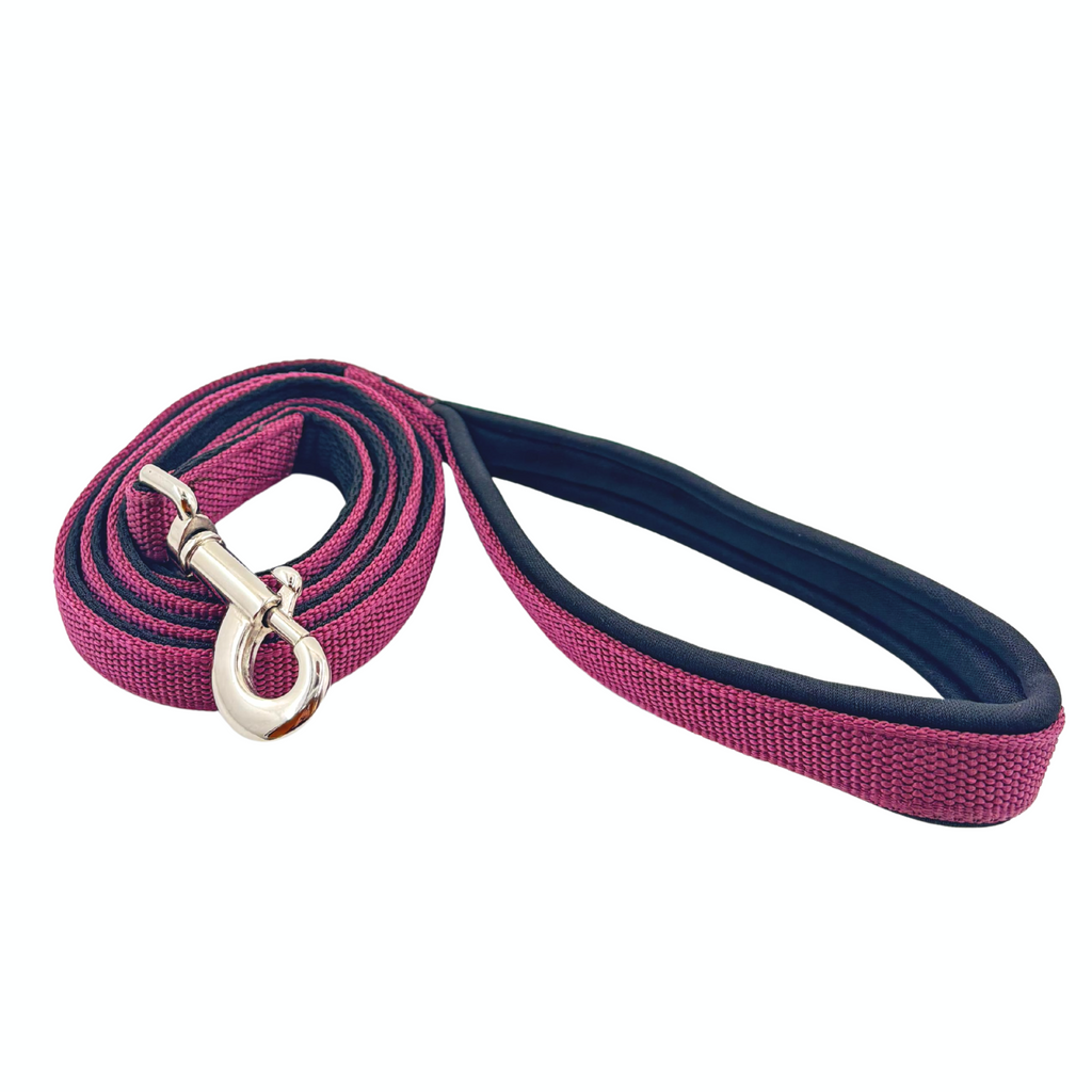 Petblush Everyday Full Padded Leash For Dogs