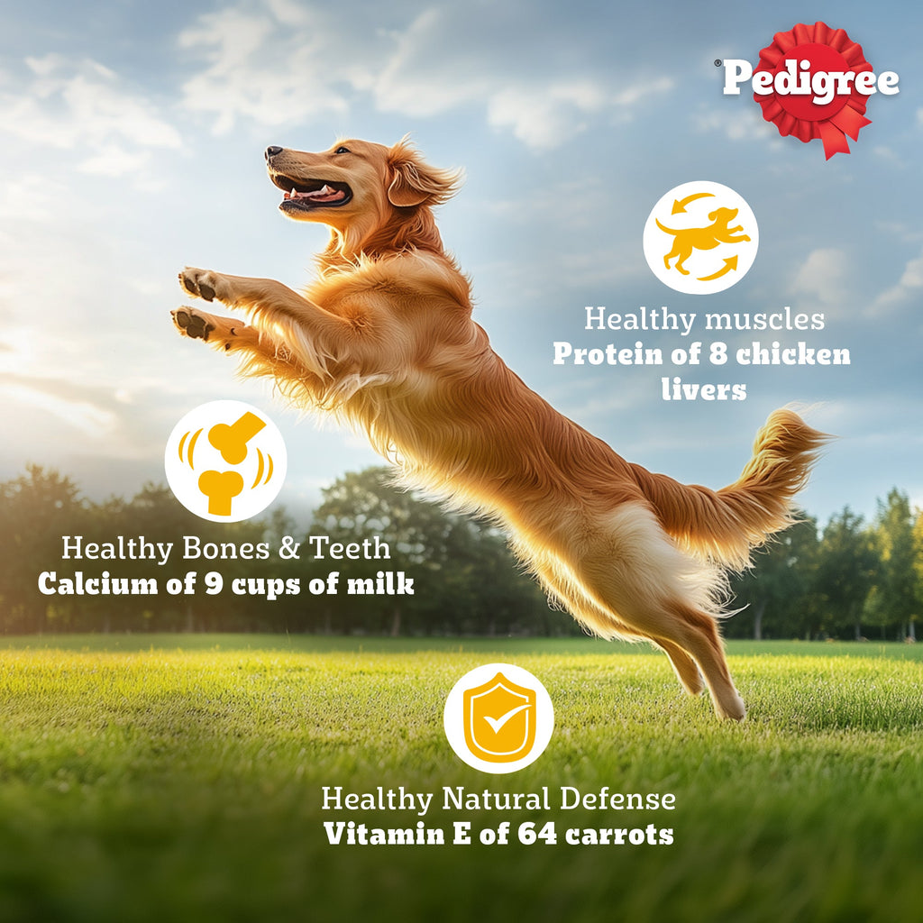 Pedigree Meat & Rice Adult Dog Dry Food