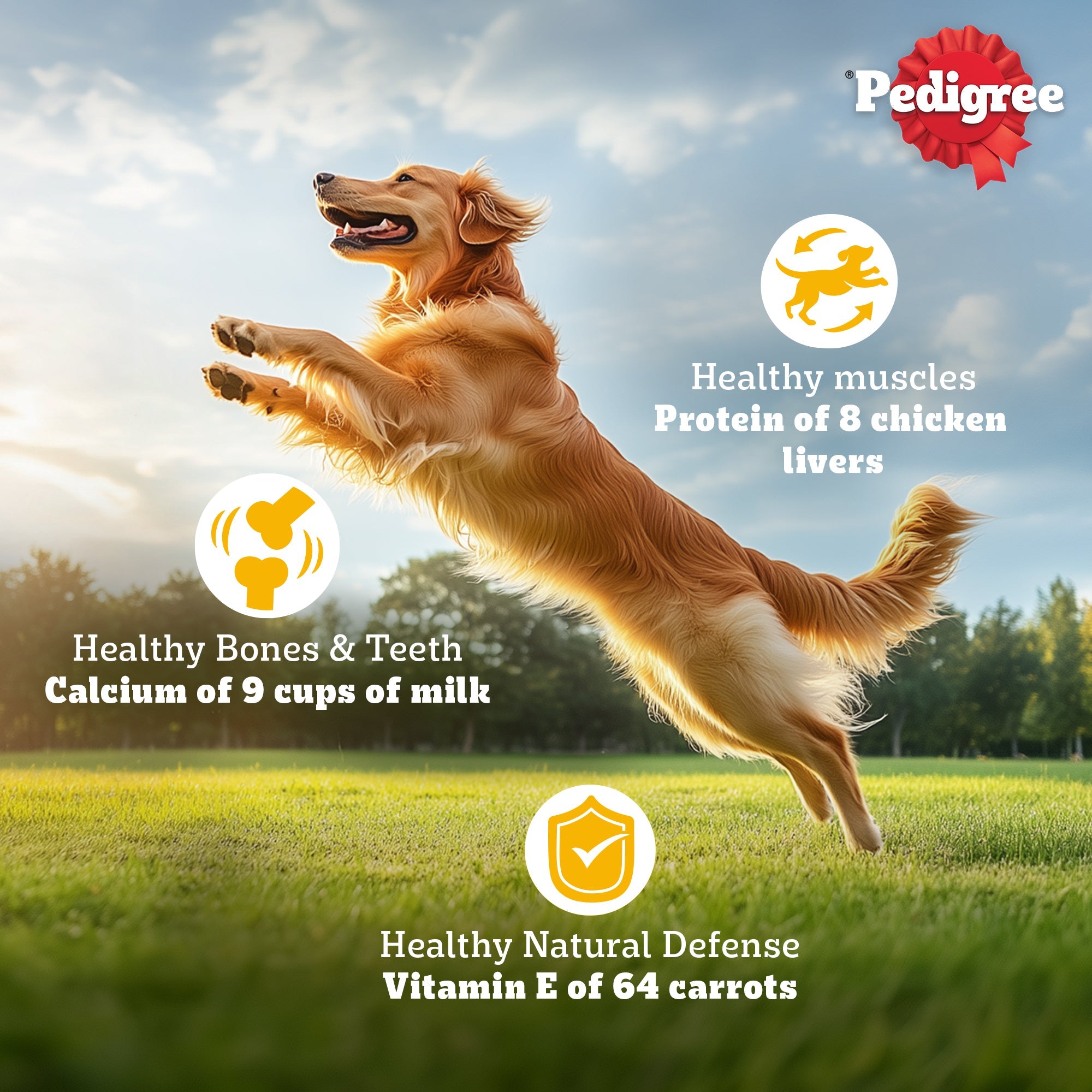 Pedigree Meat & Rice Adult Dog Dry Food