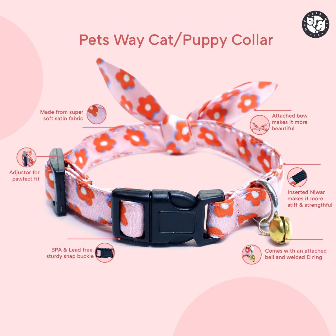 Bold Bloom Puppy & Cat Collar Leash Harness Set