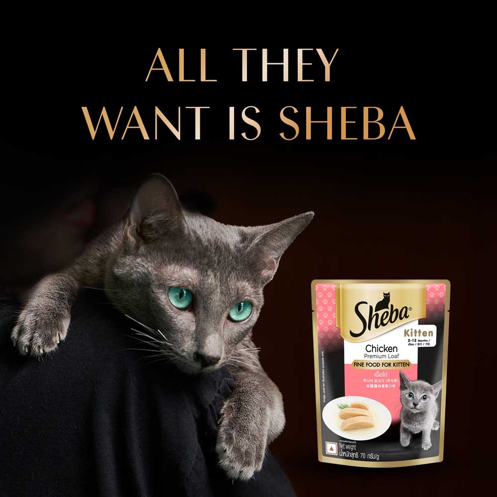 Sheba Chicken Loaf Rich Premium Kitten (2 to 12 Months) Fine Cat Wet Food