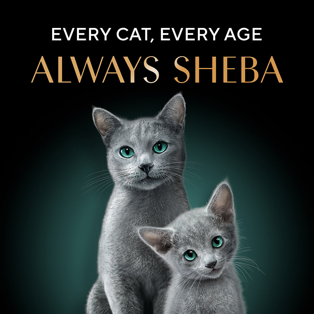 Sheba Maguro & Bream Fish Mix Premium Cat Wet Food