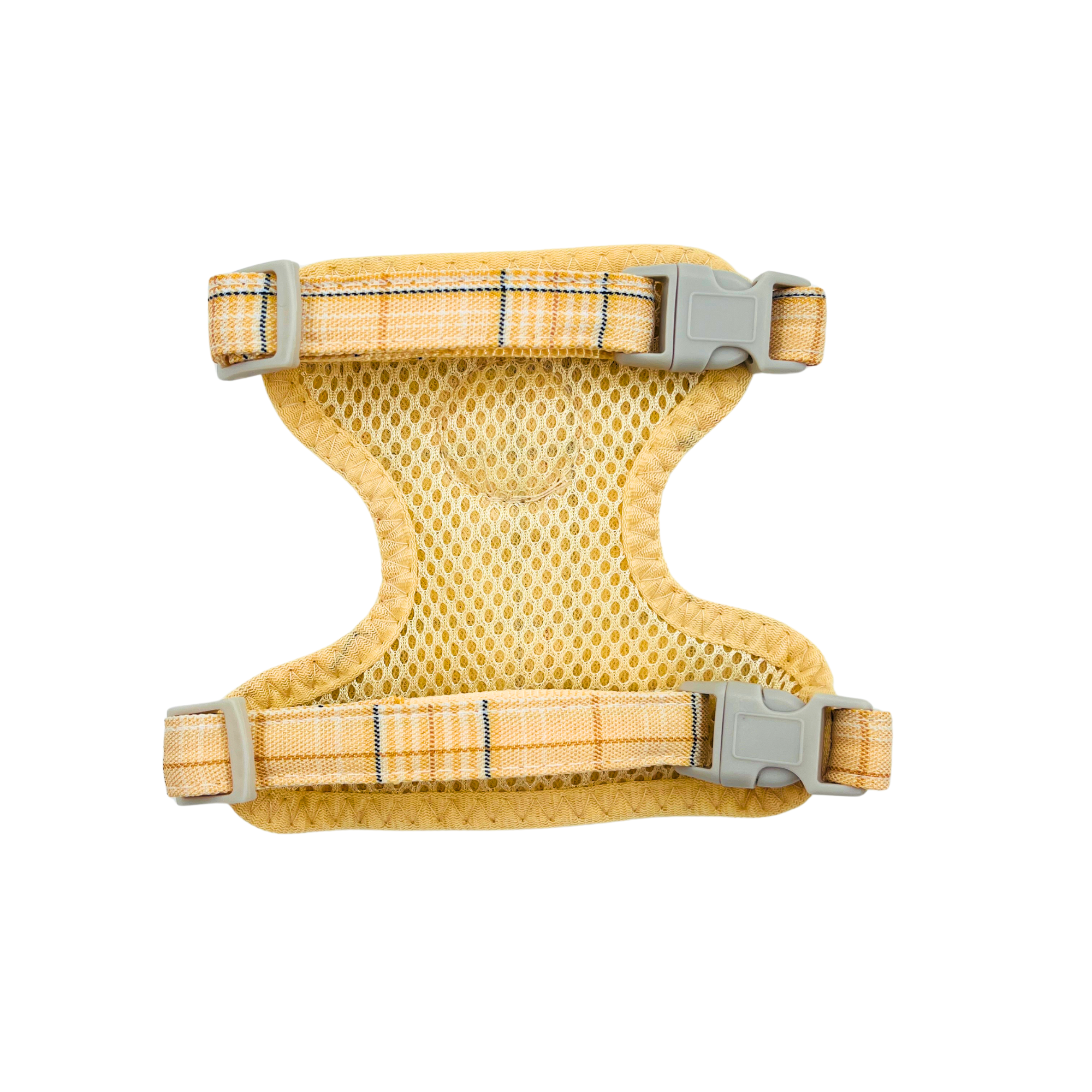 Petblush Classic Imported Chest Harness & Leash set for Cats and Puppies