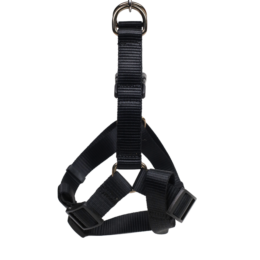 Petblush Y Harness with Lock Buckle For Dogs