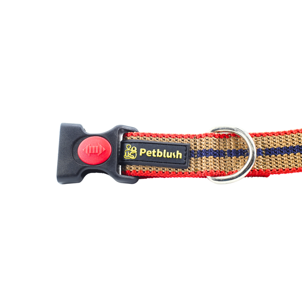 Petblush Tough Striped Collars For Dogs