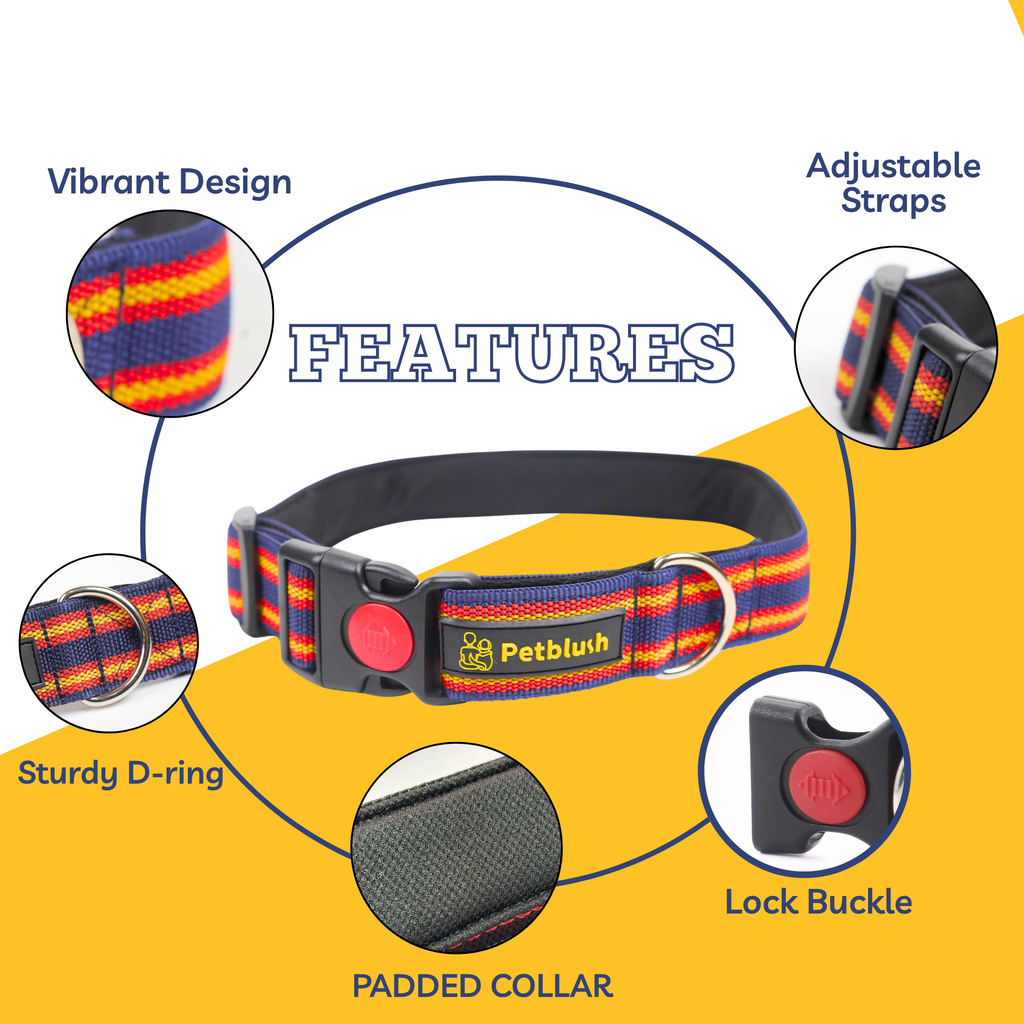 Petblush Vibrant Dual Stripes Collar For Dogs