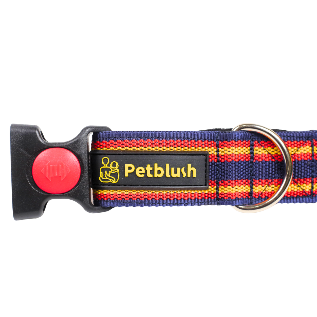 Petblush Vibrant Dual Stripes Collar For Dogs