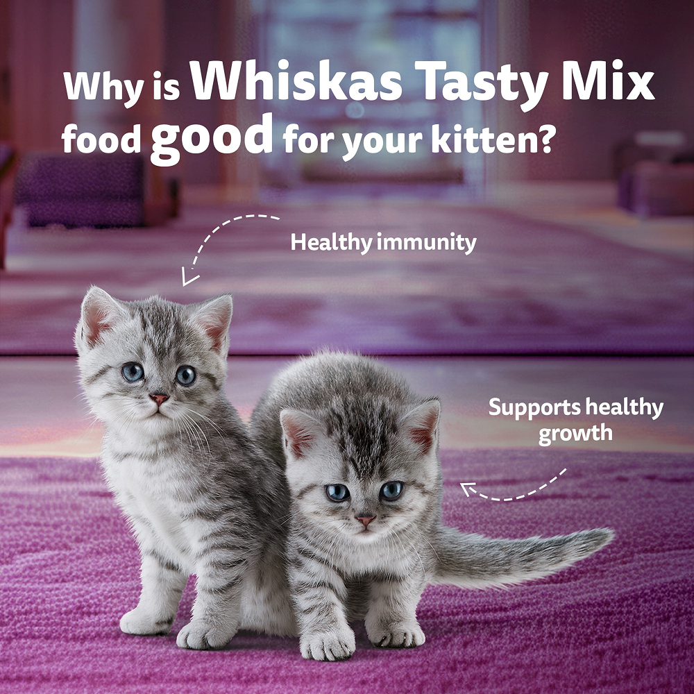 Whiskas Tasty Mix Seafood Cocktail Carrot Gravy Kitten Cat Wet Food