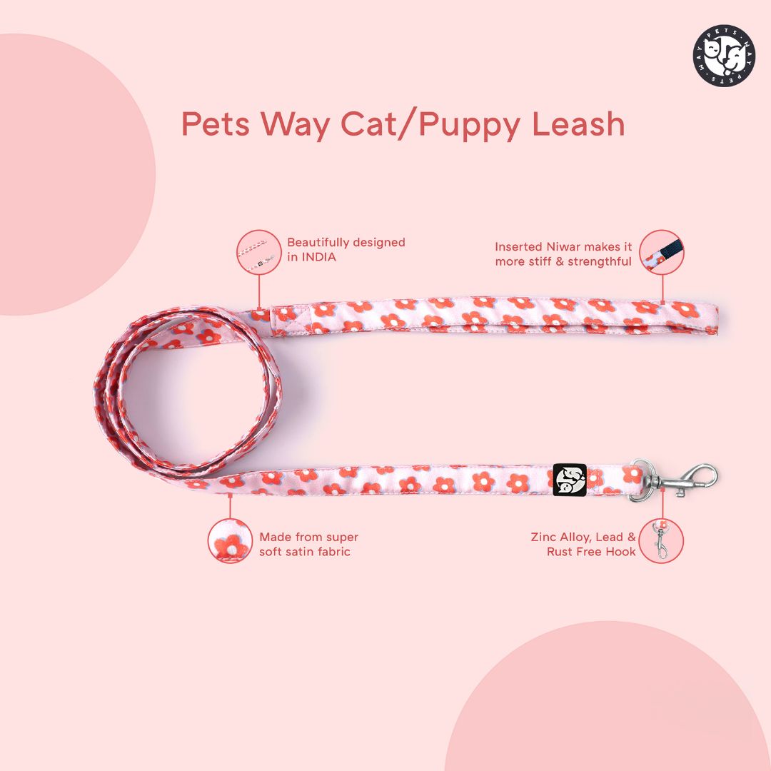 Love Puppy & Cat Collar Leash Harness Set