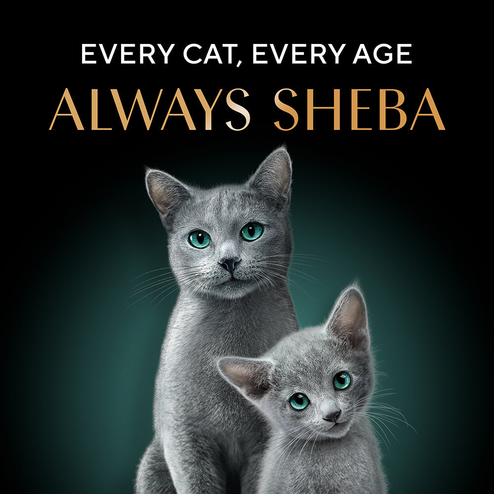 Sheba Complete Nutrition Succulent Chicken Breast In Gravy Cat Wet Food