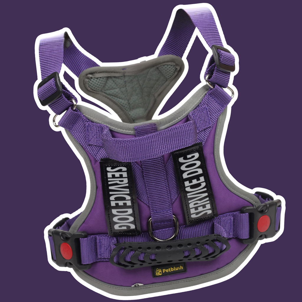 Petblush Tactical Harness for Dogs