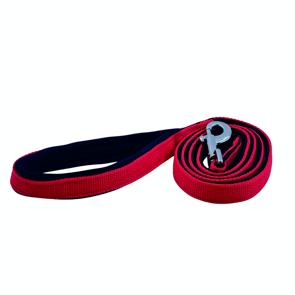 Petblush Everyday Full Padded Leash For Dogs