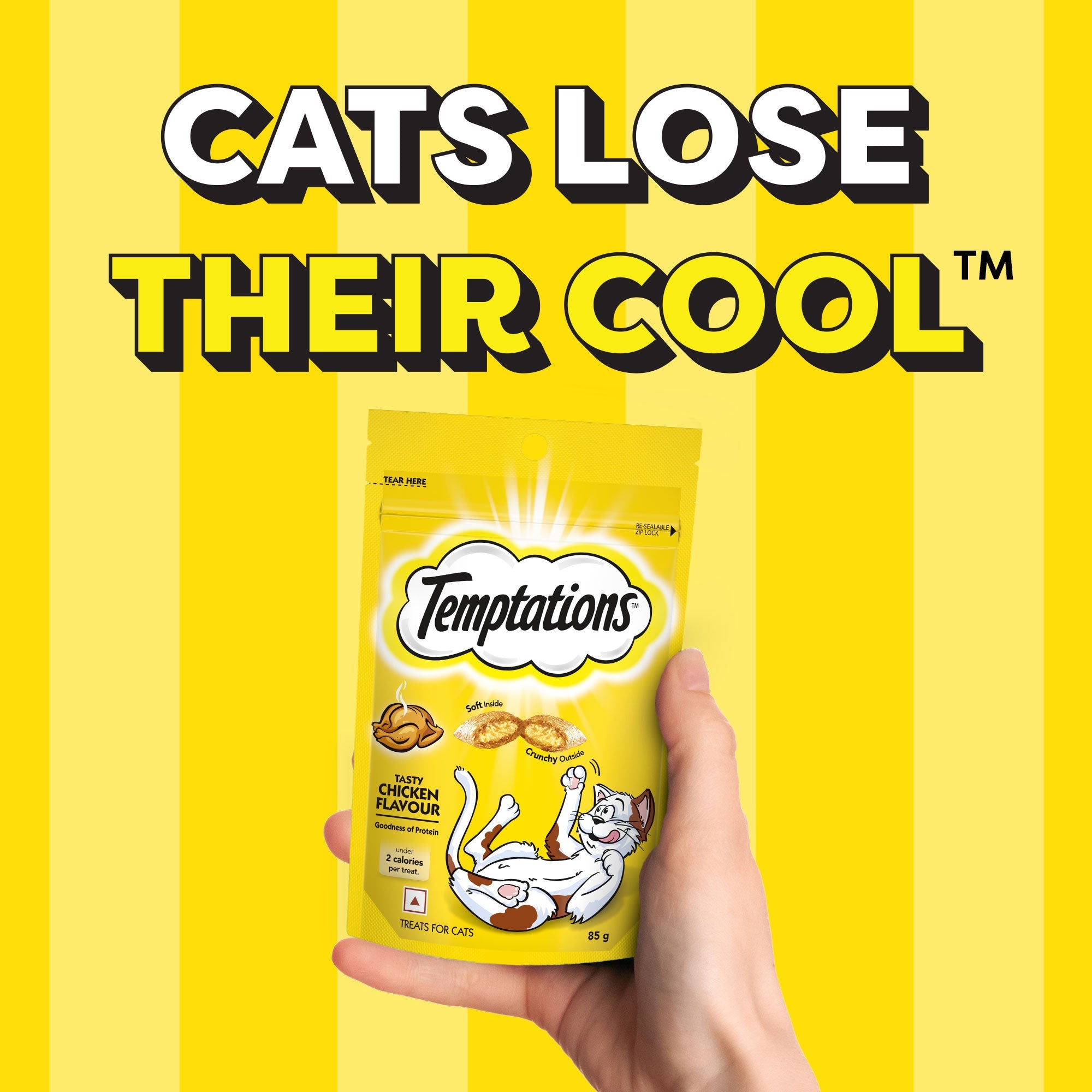 Temptations Tasty Chicken Flavour Cat Treats