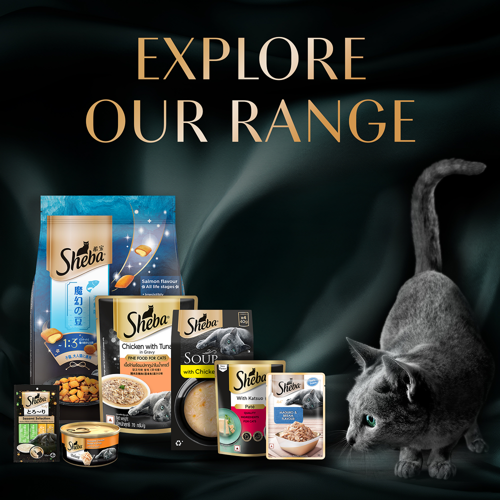 Sheba Katsuo Pate Rich Premium Adult Fine Cat Wet Food