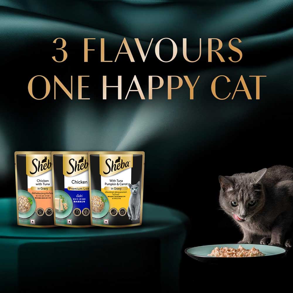 Sheba Chicken Loaf Rich Premium Adult Fine Cat Wet Food