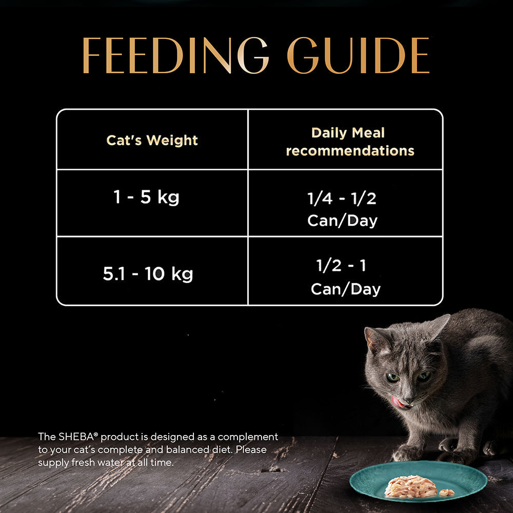 Sheba Tuna Fillet & Whole Prawns in Gravy Premium Cat Wet Food