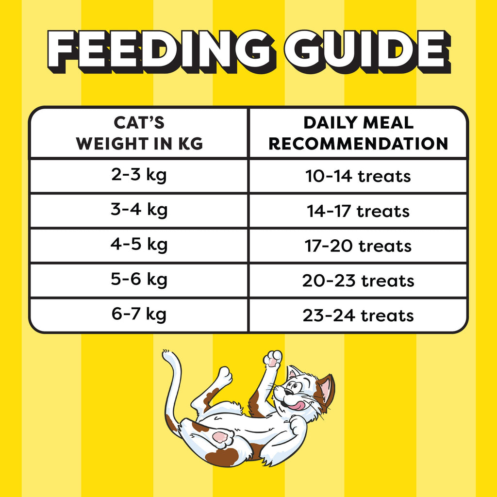 Temptations Savoury Salmon Flavour Cat Treats