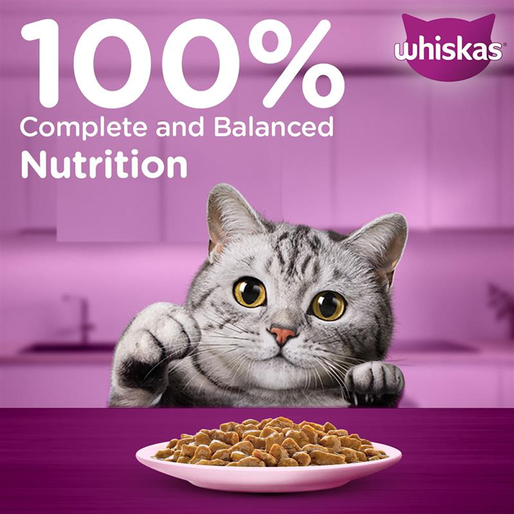 Whiskas Salmon in Gravy Meal Adult Cat Wet Food