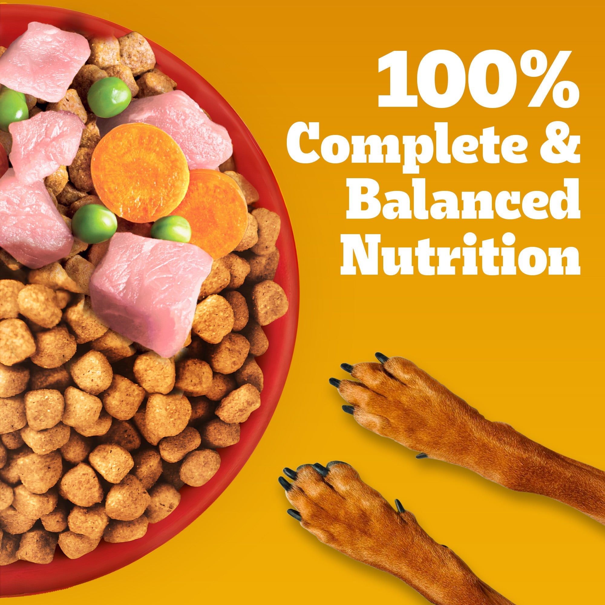 Pedigree Meat & Rice Adult Dog Dry Food