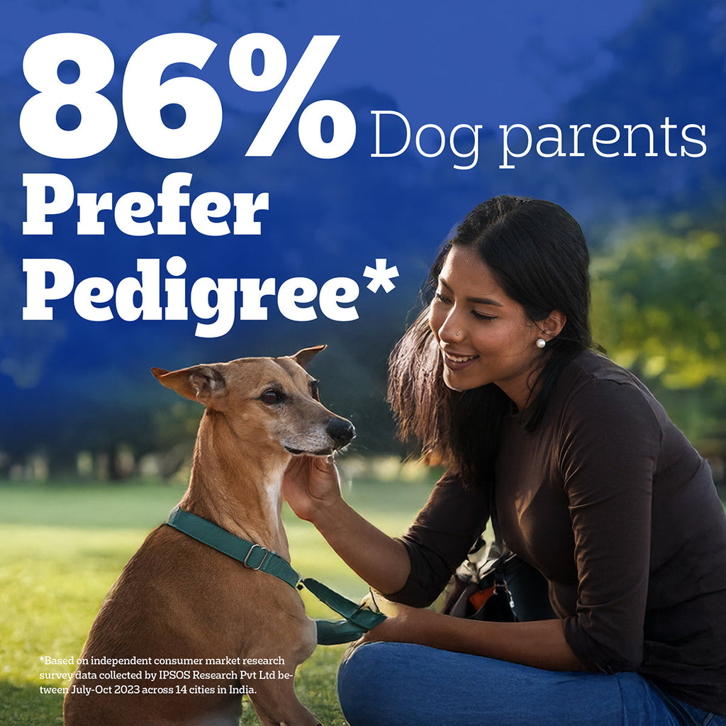 Pedigree Dentastix Oral Care for Adult (Medium Breed of 10 to 25 kg) Dog Treats