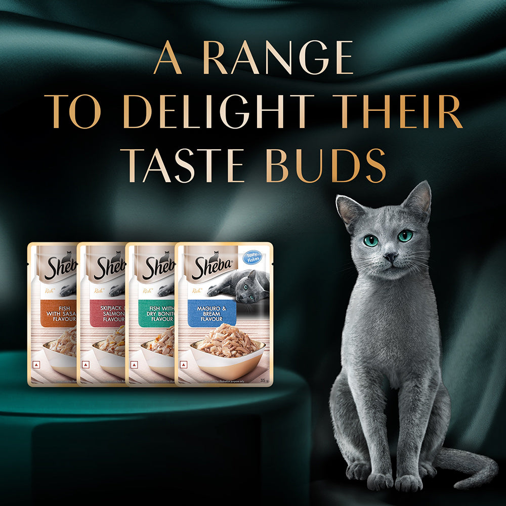 Sheba Fish with Sasami Premium Cat Wet Food