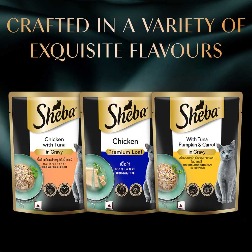 Sheba Tuna Pumpkin & Carrot In Gravy Rich Premium Adult Fine Cat Wet Food