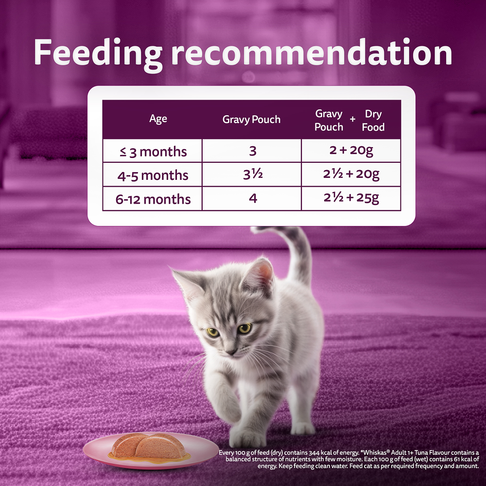 Whiskas Junior Mackerel Flavour Kitten (2-12 months) Cat Wet Food