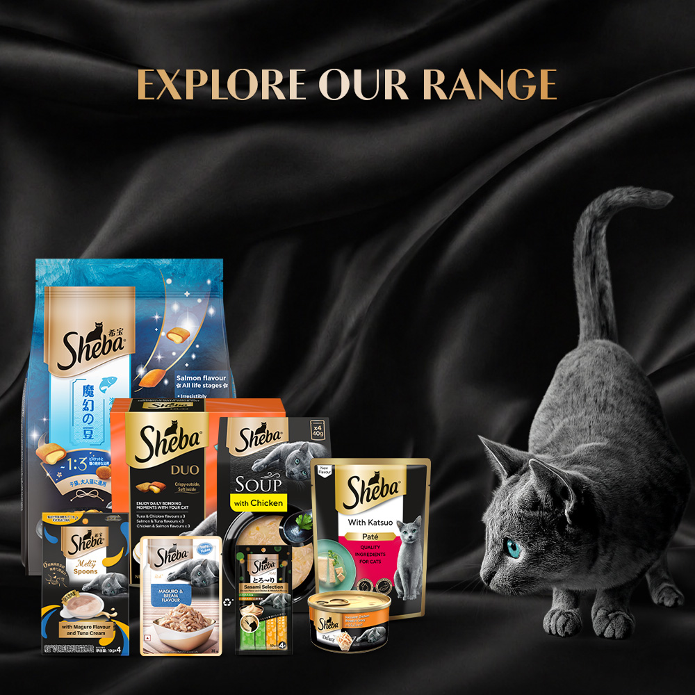 Sheba Duo Tuna & Chicken, Salmon & Tuna, Chicken & Salmon Crunchy Adult Cat Treats
