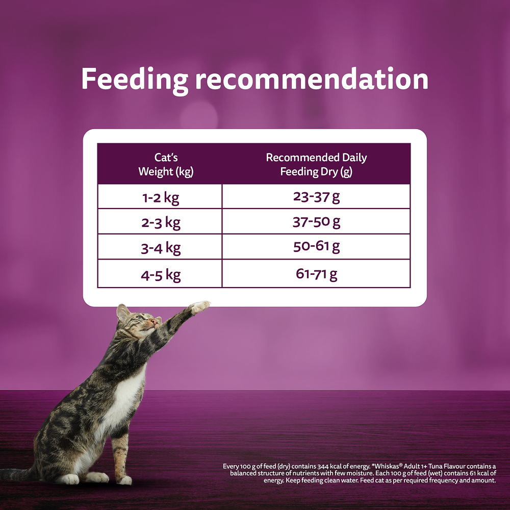 Whiskas Mackerel Flavour Dry Food for Mother and Baby Cat