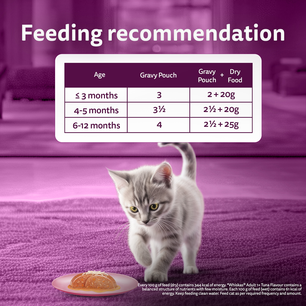 Whiskas Chicken with Salmon in Jelly Kitten (2-12 Months) Cat Wet Food